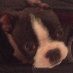 Meet your Posher, Irene